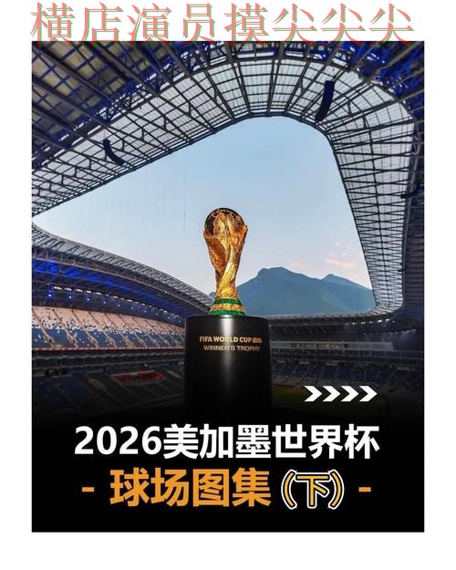 2026世界杯背景下的世界杯买球网站盘点与真实体验直播解析